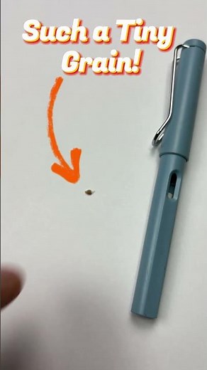 Exploring Aniseed Under a Kids' Microscope!