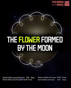 1.1M views · 18K reactions | In this animation, we recreated the...