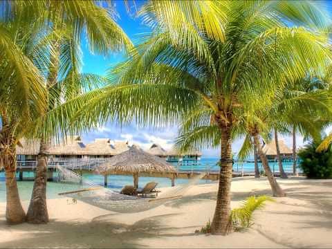 "Island Fever" by Jimmy Buffett