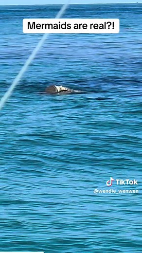 Exploring the Reality of Mermaids: Are They Real?