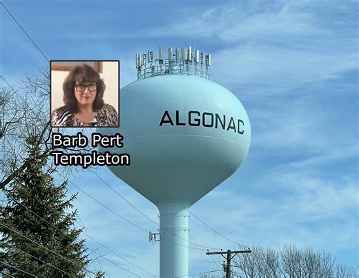 Algonac Council takes care of business 4-7-2026