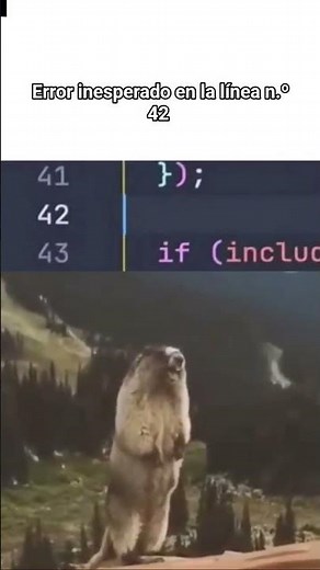alguien nota el error? #dev #humor #memes #code #comedia #programacion #coding #developer #developer