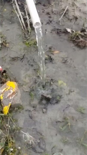 pump testing of borehole.#water #nigeria #boreholedrilling