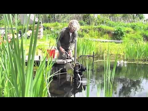 Organic pools bubble flow. How a natural pool is pumped with one airstone in 1/2 day..