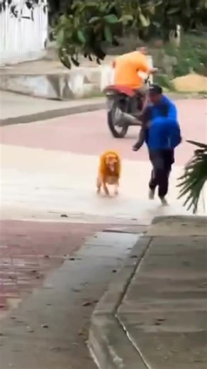 Goodvibes #comedy #funnyvideos | Macky Maco