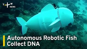 6.1K views · 280 reactions | Meet Belle, the robot fish helping with marine research. | TaiwanPlus News | Facebook