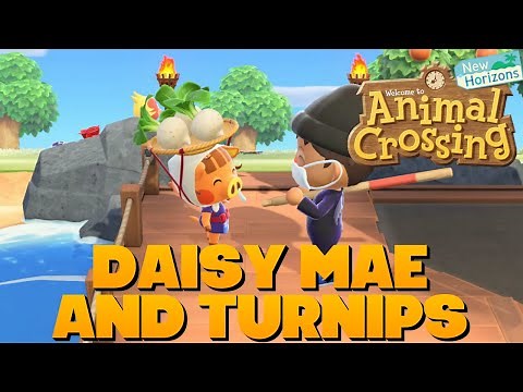 Animal Crossing New Horizons - Daisy Mae & Turnips