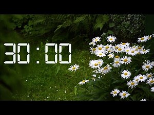 30 Minute Timer | Relaxing Rain Sounds
