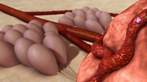 Simulating blood flow in Maya using nDynamics