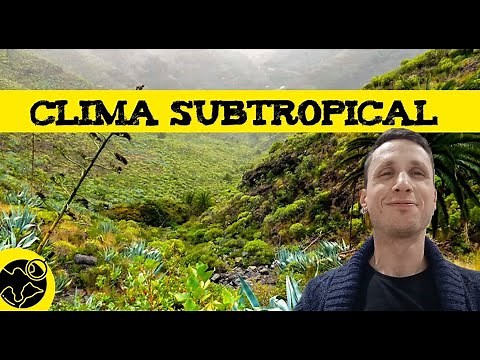 El clima subtropical 🐊