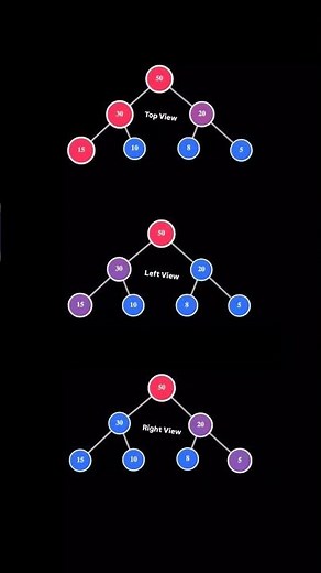 🔥 Day 54 | DSA | Views of Tree Data Structure | Visualization