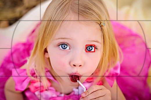 Autofocus Modes Explained