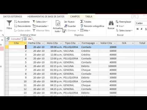 Consulta de actualizacion en access