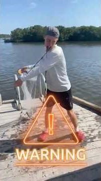 Florida Gulf Cast Netting: Mini Aquarium-size Inshore Slam!