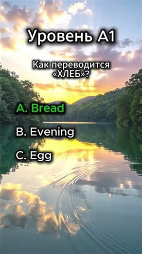 Translate These 4 Words! S4 Daily Life #1