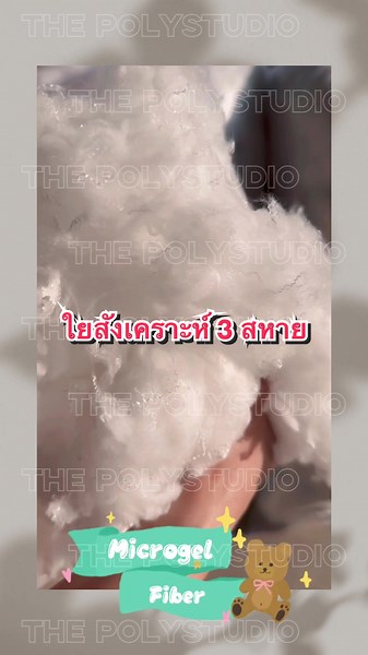 The Polystudio บน TikTok