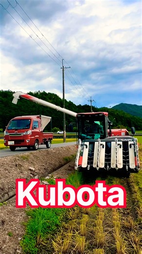 再生二期作用の田んぼを刈り取り‼️ #kubota #harvester #harvesters #コンバイン #combine #農業 #農家 #割倒#割稲 #現代農業 #farming