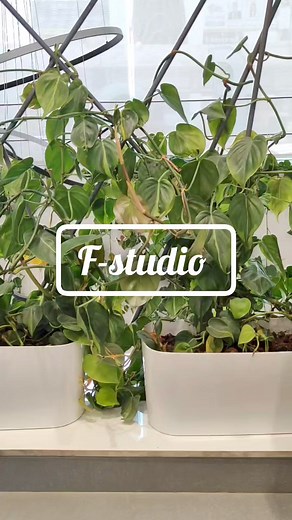 Celebrate the amazing women who shape our lives! This Mother's Day, let's honor all the incredible women who fill our lives with love and support. From moms and nannies to sisters and friends, these remarkable women deserve our appreciation. ✨ Show them how much you care with a gift from F-Studio! They have beautiful fabrics perfect for creating something special. #MothersDay #FStudio #WomenWhoInspire #Love #Appreciation | F Studio