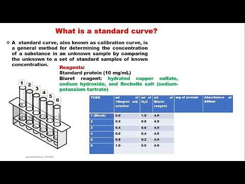 Preparation and uses of standard curve