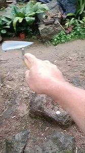 Yamashita treasure hunting documentary #treasurehunt #stone #rock #gold #trending | SMV. Sniper Moto Vlog