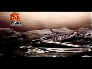 Datação por carbono -14