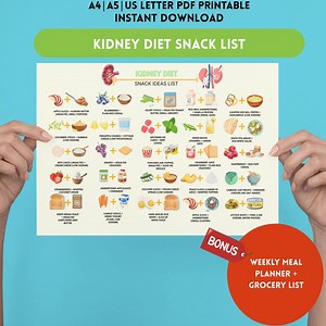 Kidney Diet Snack Ideas: 2-ingredient Renal Recipes (PDF Downloadable Guidebook) - Etsy