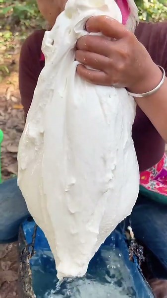 The rubber in these coagulation buckets is also a little tender, and it will break off when it is l