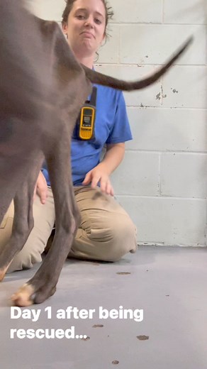 32K views · 1K reactions | Brutus, we did it! Thank you to all of the...