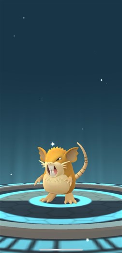 [Pokemon GO] Full Evolution Line of Rattata into Raticate #tiktokeffects #rattata #raticate
