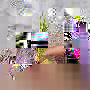 250K views · 10K reactions | How to grow Coconuts as soon as possible by grafting Coconuts with bananas/ Growing Coconuts | Rana Craft | Facebook