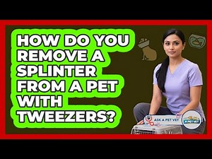 How Do You Remove A Splinter From A Pet With Tweezers?