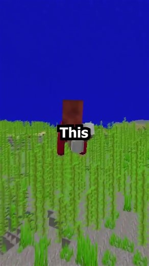 please DONT click the sound bro… 💀💀💀 MORE Mods That Make You Better at Minecraft PVP 1