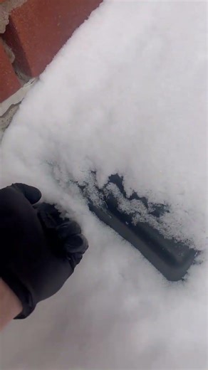 Active Mouse Infestation Found During Exterior Bait Station Inspection | Professional Rodent Control