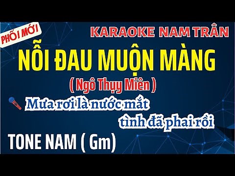 Karaoke Nỗi Đau Muộn Màng Tone Nam | Nam Trân