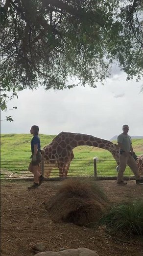 Little missy went to the zoo 😍