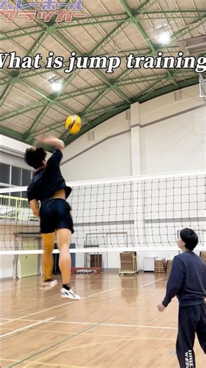 【メータージャンパー】ジャンプトレーニング #ジャンプ力 #haikyuuxyn #volleyballworld