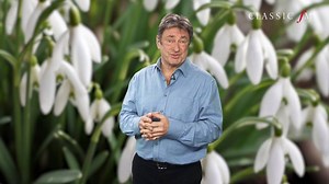 41K views · 294 reactions | Alan Titchmarsh’s brand-new album The Glorious Garden is out on 2nd March, featuring poems just as witty as this one with stunning music to match! Find out more here  https://www.amazon.co.uk/Glorious-Garden-Alan-Titchmarsh/dp/B07984YMZP/ | Classic FM | Facebook