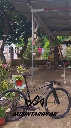 Mountain Peak MTB Build by PJ Works
