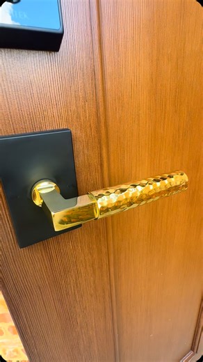 Southern Custom Doors & Hardware on Instagram: "We finally got our new EMTEK Empowered 2 set installed and we LOVE it! 🤗 ••• With key-free options like passcodes & fingerprint reading, you won’t have to dig for your keys again! There are also features that allow you to unlock using your phone, share guest codes through an app, and even connect to your Alexa or Google Home! I promise, this is exactly what you’ve been looking for! ••• It’s gorgeous and most importantly: works like a charm!