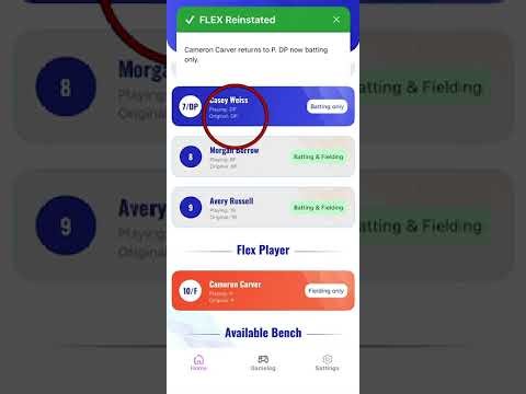 Flex/DP Softball Basic Rules