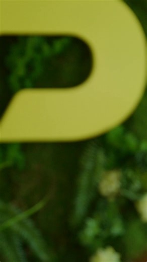 Chez nous, la solidarité, ça nous connaît. 🙌 Elle se vit autant dans les petits gestes quotidiens que dans les grandes initiatives collectives. Dans cette capsule, nos collègues relatent des moments touchants, des anecdotes inspirantes… et même des comparaisons animales inattendues! En cette Année internationale des coopératives, découvrez comment cette valeur cœur anime notre équipe en visionnant la vidéo complète. | Promutuel Assurance Côte-Est