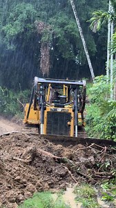 Bulldoser rain #toad #usa #us | Sawmill Tech