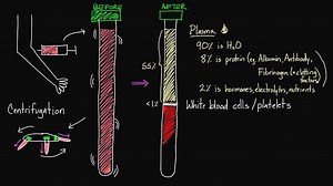 What's inside of blood?