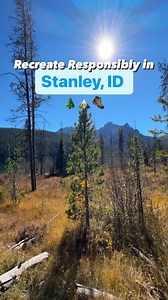 1.2K views · 37 reactions | Stanley isn't only one of our favorite...