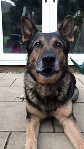 24K views · 1.8K reactions | #fabulousfinn Live your life doing what you love  #FabulousFinn | Fabulous Finn | Facebook