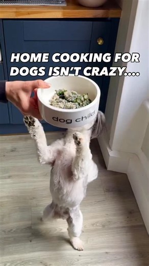 Welcome back to episode 3 of our One Pot Dinners For Your Dog Series with @mypetgrocer 👩‍🍳🥘 Comment “CASSEROLE” to get this recipe & MORE! 🐶📖 This week we made an easy Baked Chicken & Kale Casserole and the pups loved it! To make this recipe you will need: 🍗 Ingredients: -1 lb Ground Chicken (453g or 16oz) -2 Cups Kale, finely chopped (55g or 1.94oz) -⅓ Cup Blueberries (15g or 0.53 oz) -⅓ Cup Oats (40g or 1.41 oz) -1 Cup Water -2 ½ TBSP Dog Child Essential Nutrient Mix (27g or 0.95oz) Find