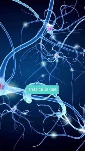 Exosomes = cellular communication 💬Not hype. Not a trend. Science. 🔬