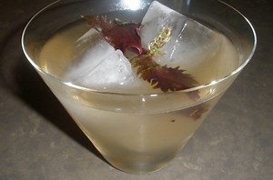 End-of-Summer Cocktail Party