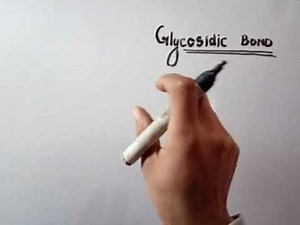 Glycosidic bond formation#carbohydrayes