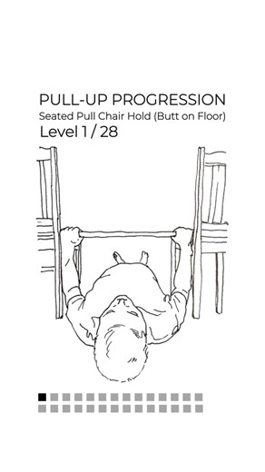 Calisthenics for Beginners (Step-By-Step) — Seated Pull Chair Hold (Pull-Up Progression Level 1/28)